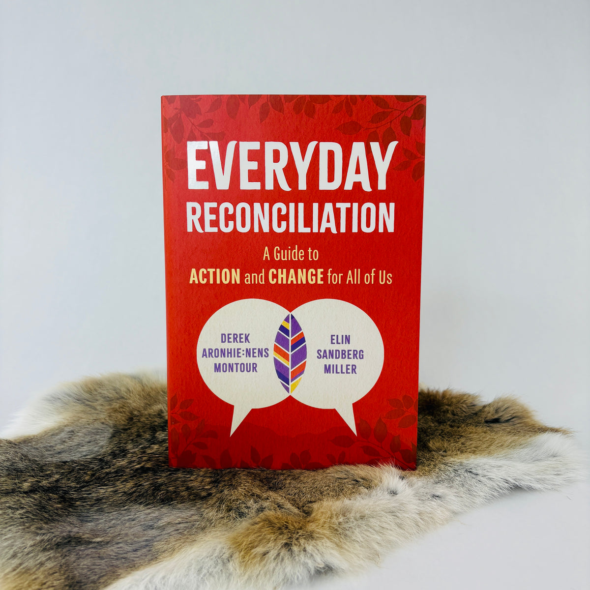 Everyday Reconciliation: A Guide to Action and Change for All of Us
