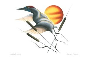 Art Print Card feat. Garnett Tobacco - Indigenous Box