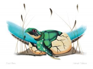 Art Print Card feat. Various Artists