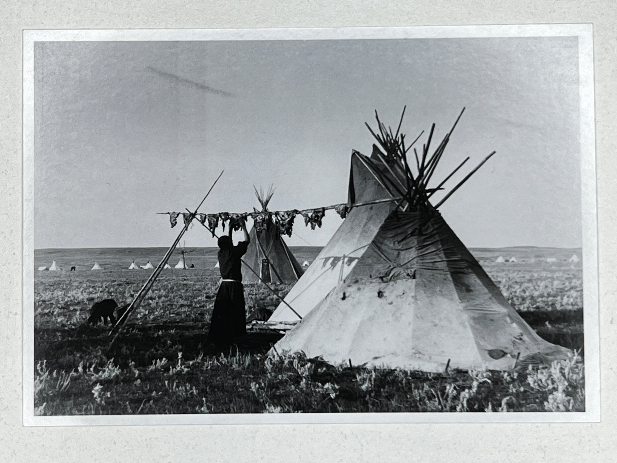 First Peoples Postcards - Indigenous Box