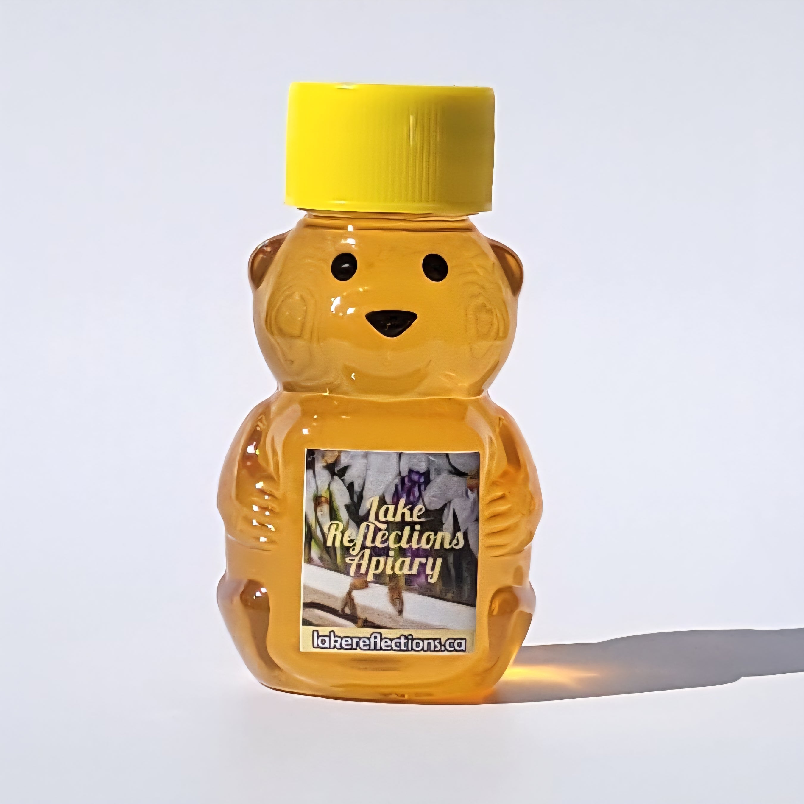 Baby Honey Bear