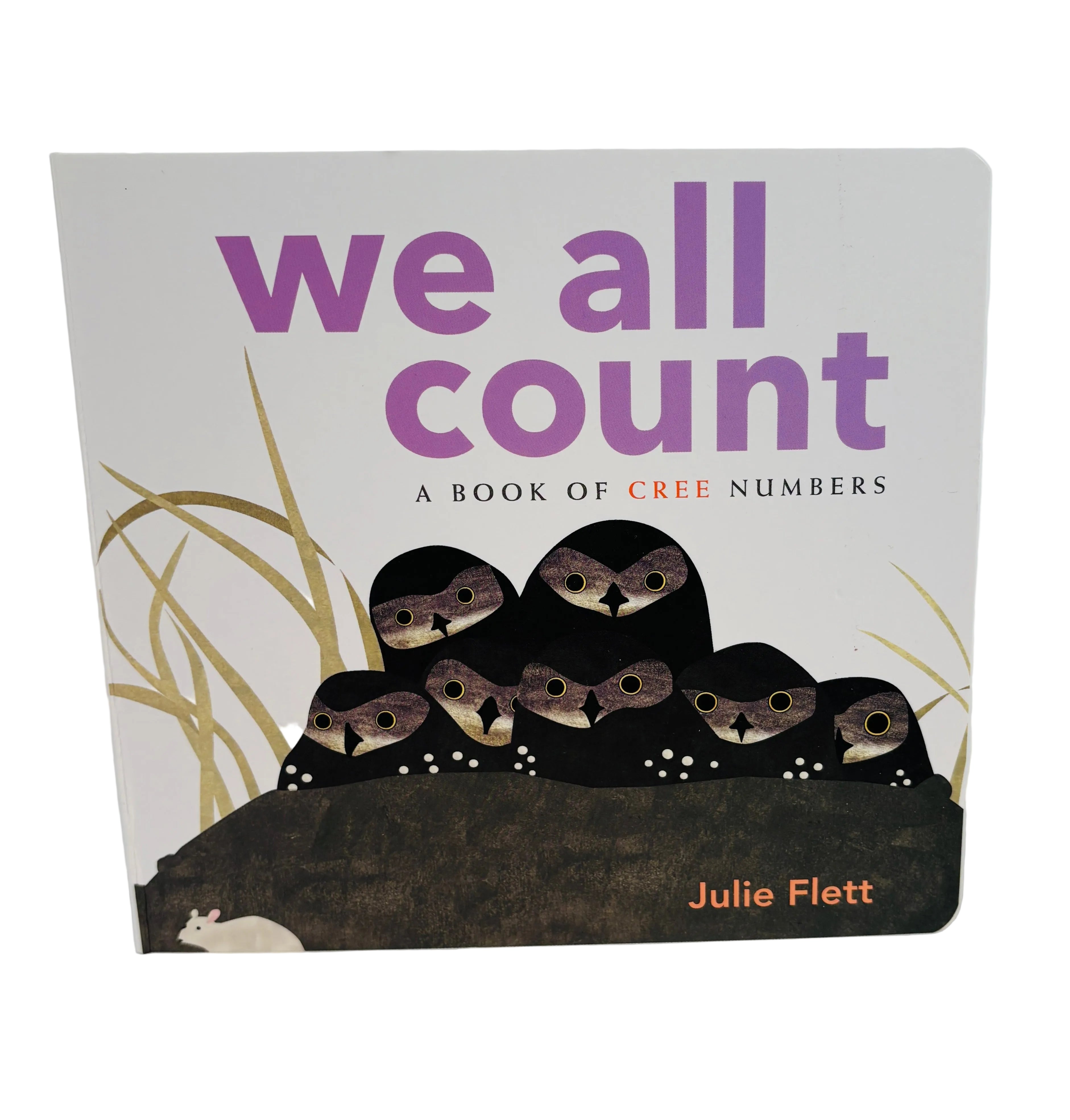 We All Count Board Book by Julie Flett